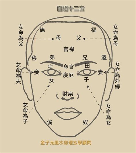 眉心紋面相